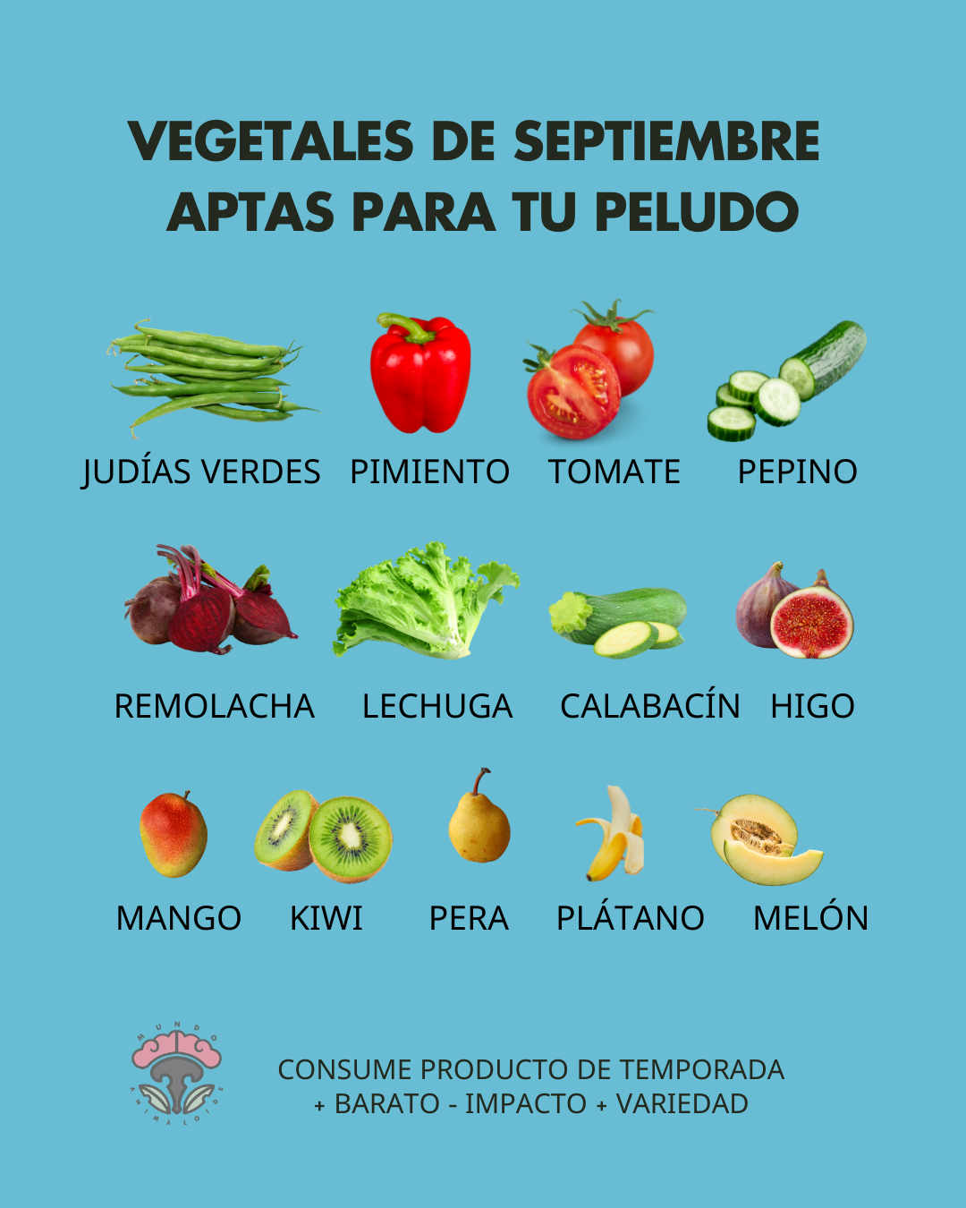 frutas y verduras para tu perro